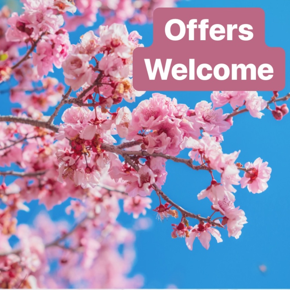 Offers Welcome 🌸